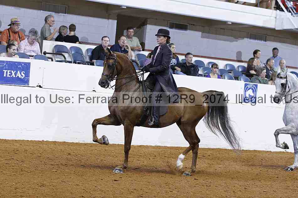 Proof 12r9_2074