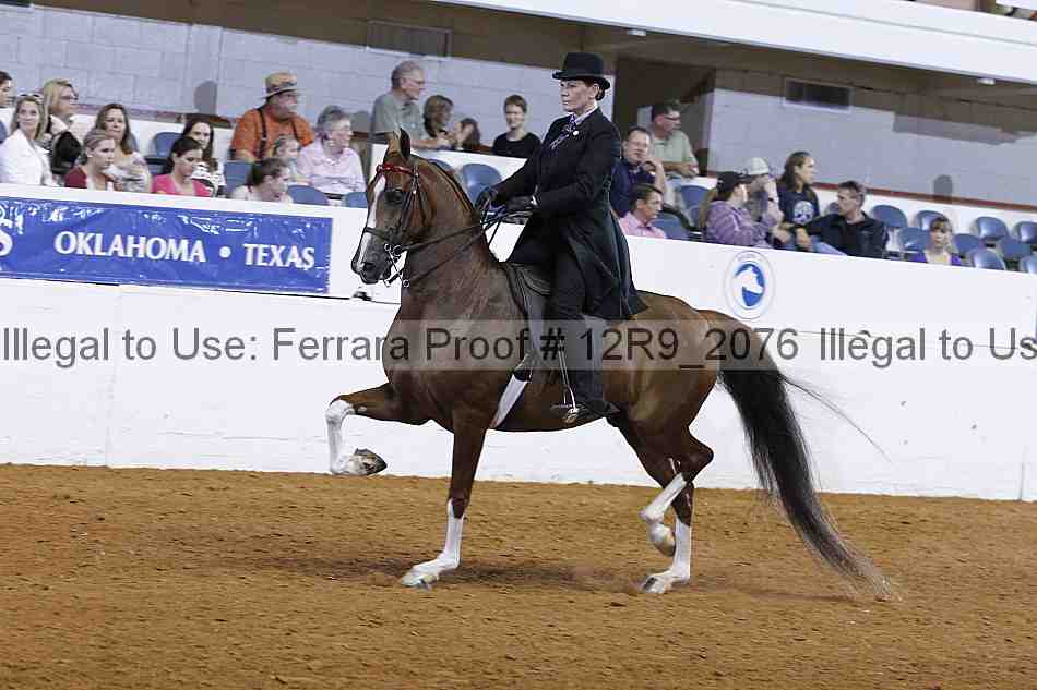 Proof 12r9_2076