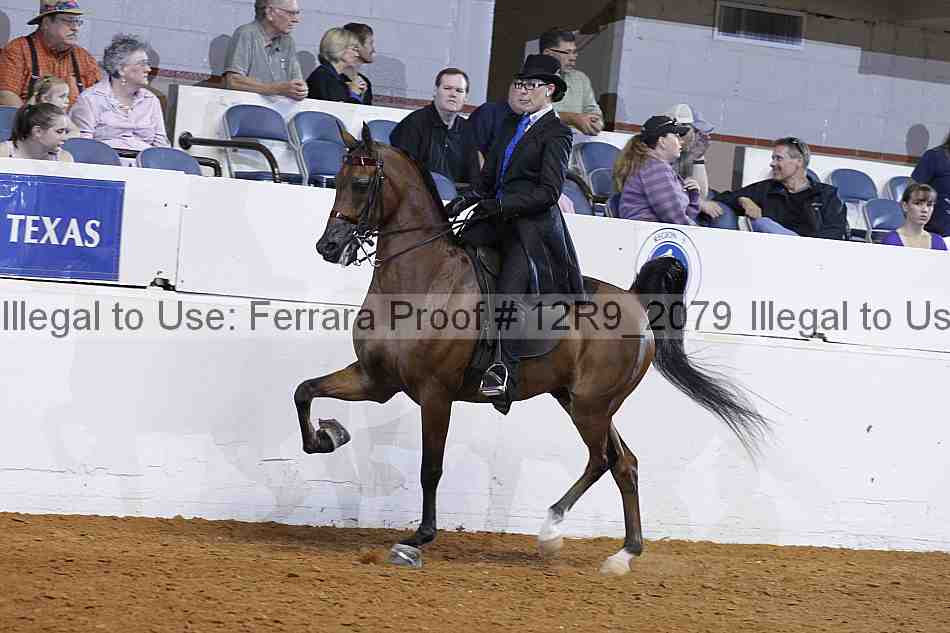 Proof 12r9_2079