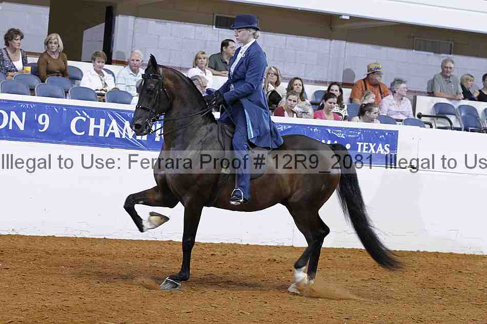 Proof 12r9_2081