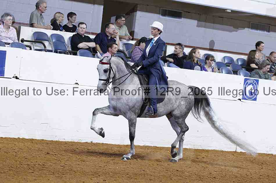 Proof 12r9_2085