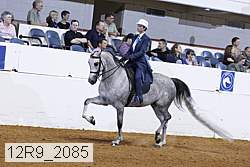 12r9_2085 proof