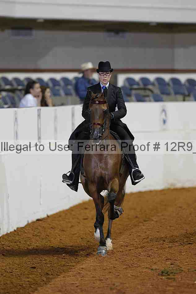 Proof 12r9_2087