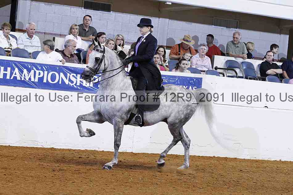 Proof 12r9_2091