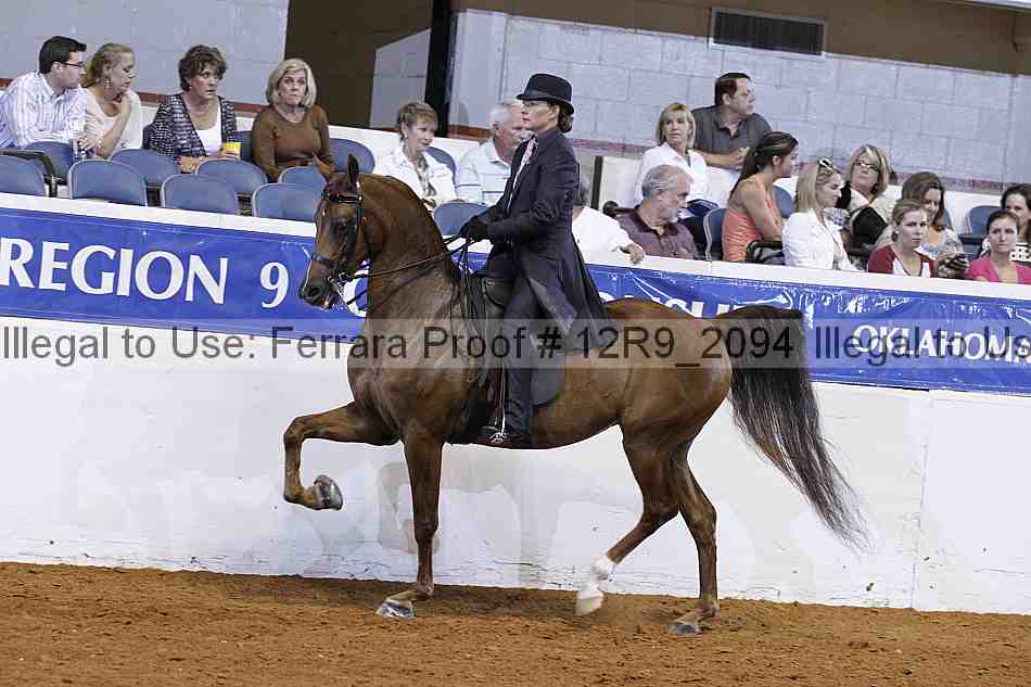 Proof 12r9_2094