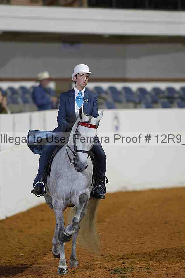 Proof 12r9_2095