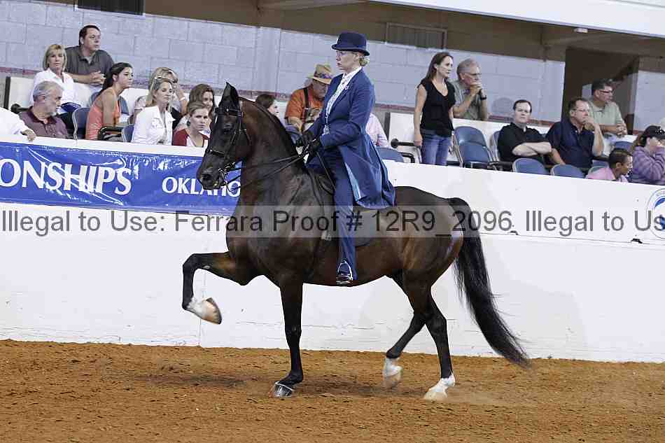 Proof 12r9_2096