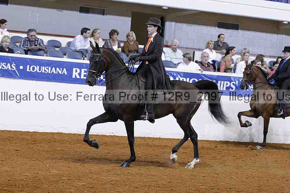Proof 12r9_2097