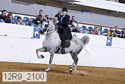 12r9_2100 proof