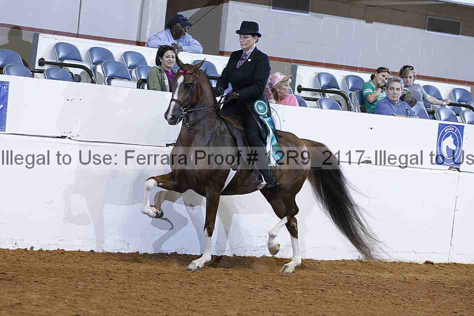 Proof 12r9_2117