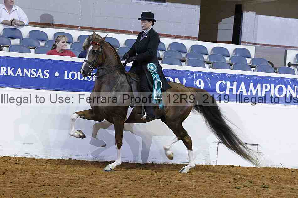 Proof 12r9_2119