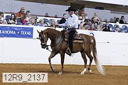 12r9_2137 proof