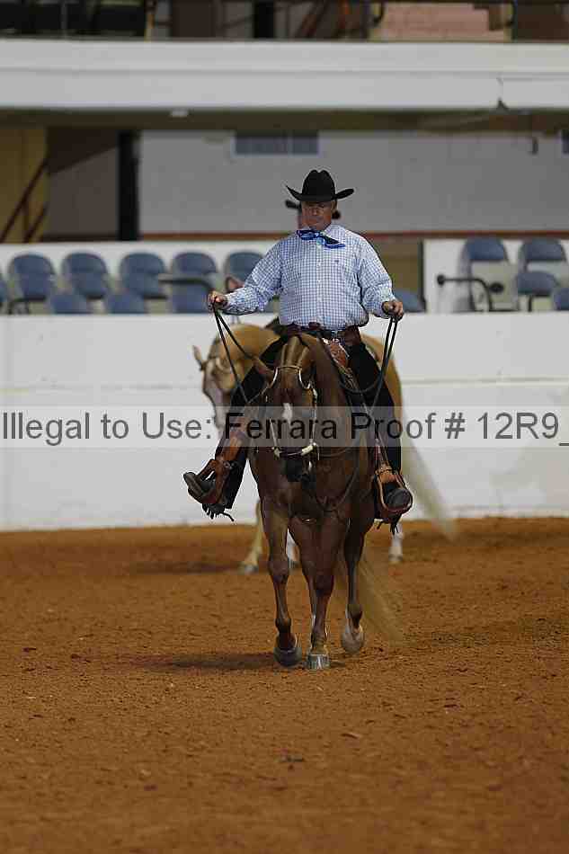 Proof 12r9_2160