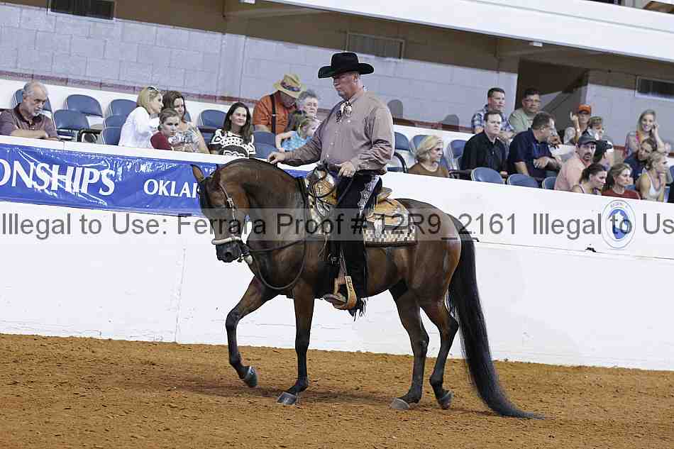 Proof 12r9_2161