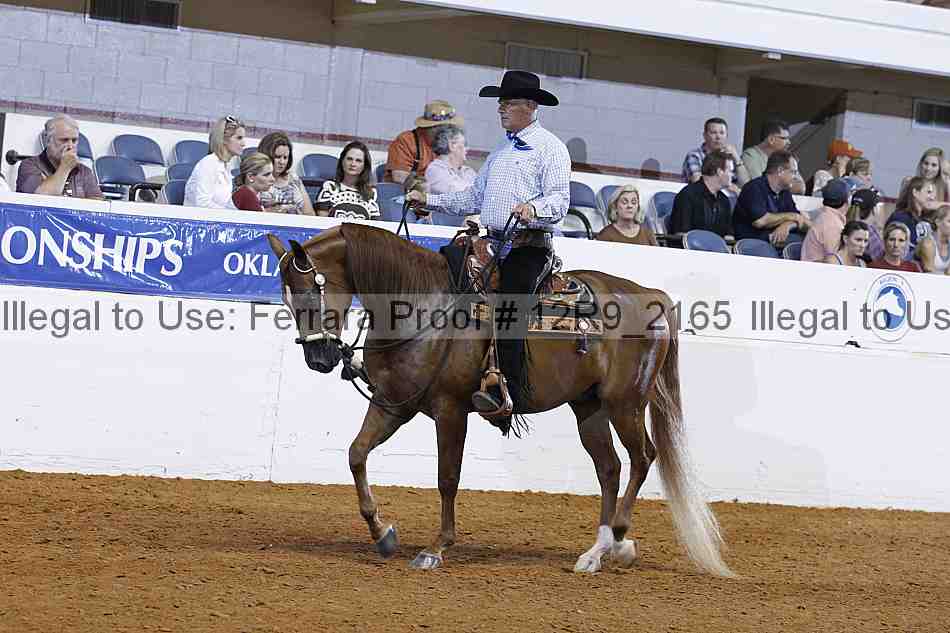 Proof 12r9_2165