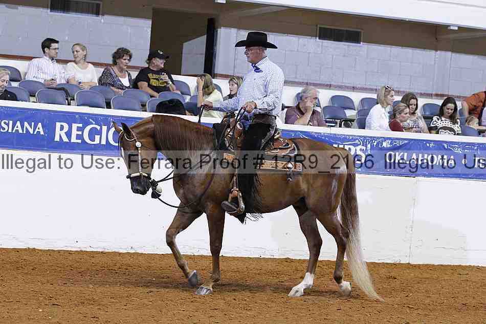Proof 12r9_2166