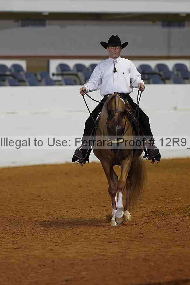 Proof 12r9_2167