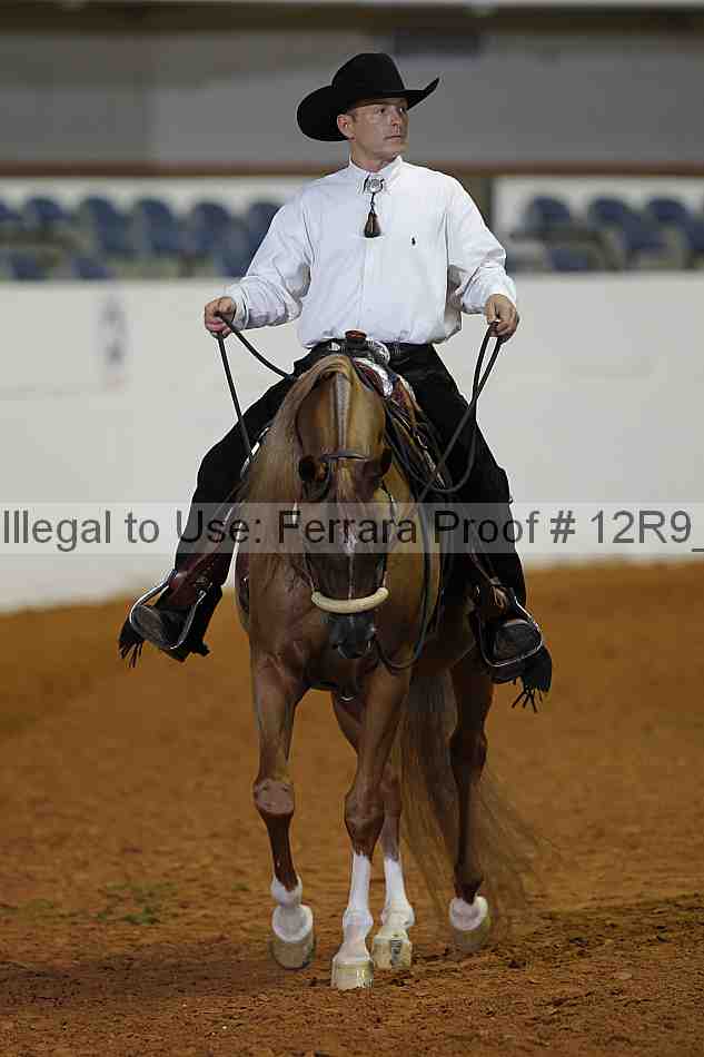 Proof 12r9_2168
