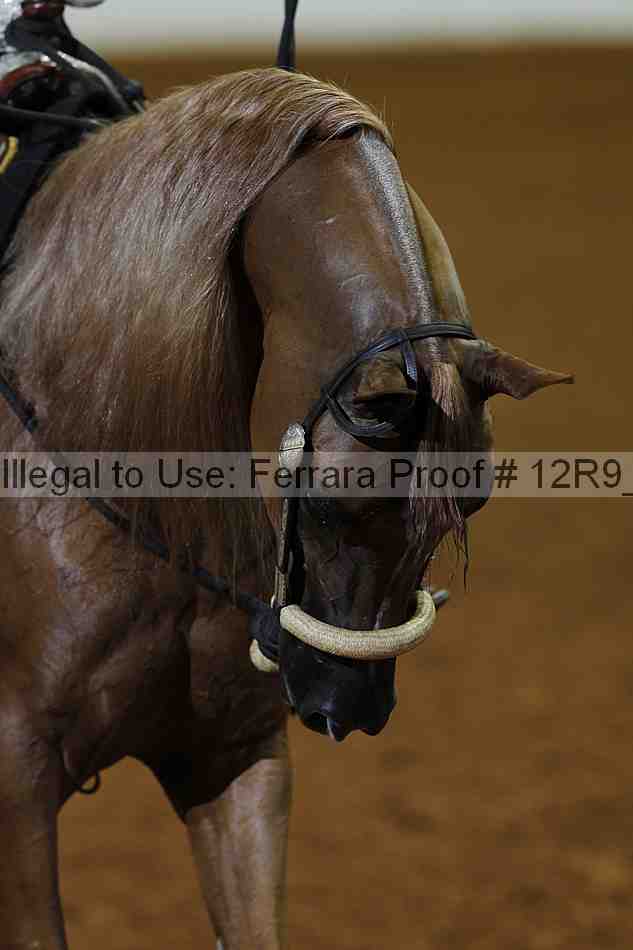 Proof 12r9_2169