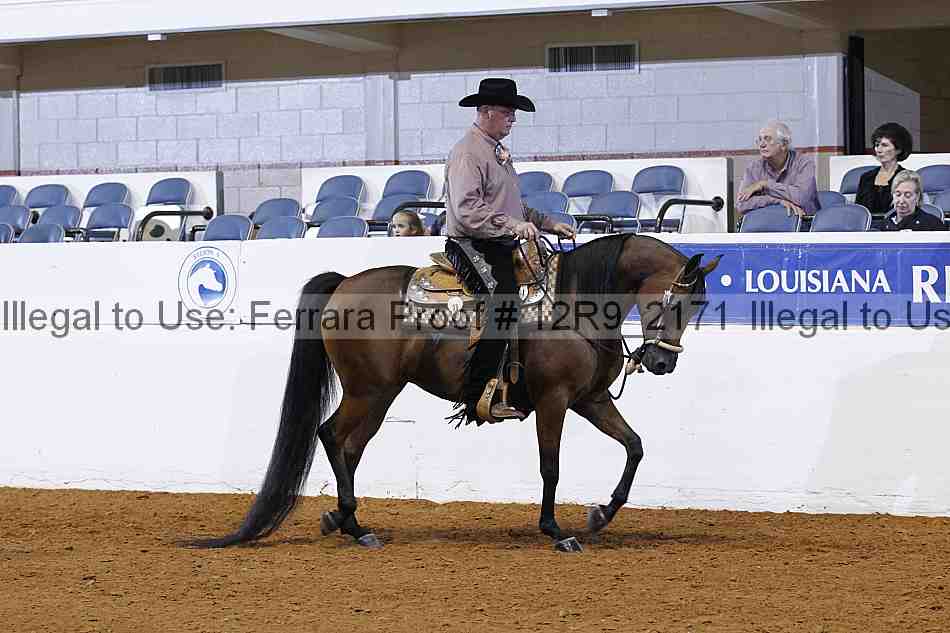 Proof 12r9_2171
