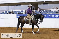 12r9_2172 proof