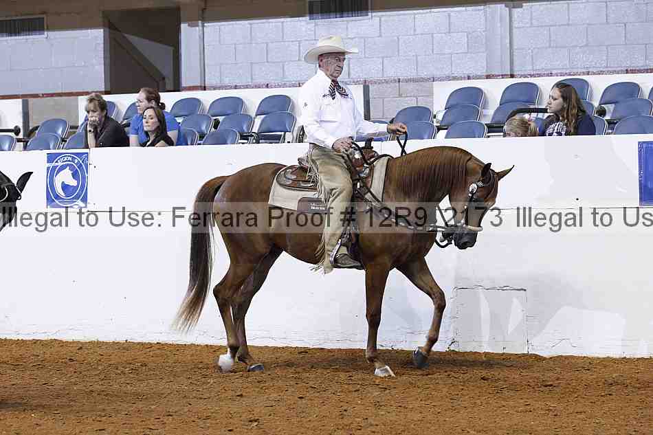Proof 12r9_2173