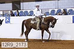 12r9_2173 proof