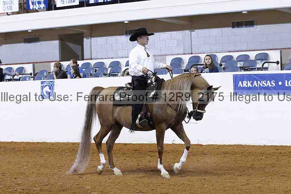 Proof 12r9_2175