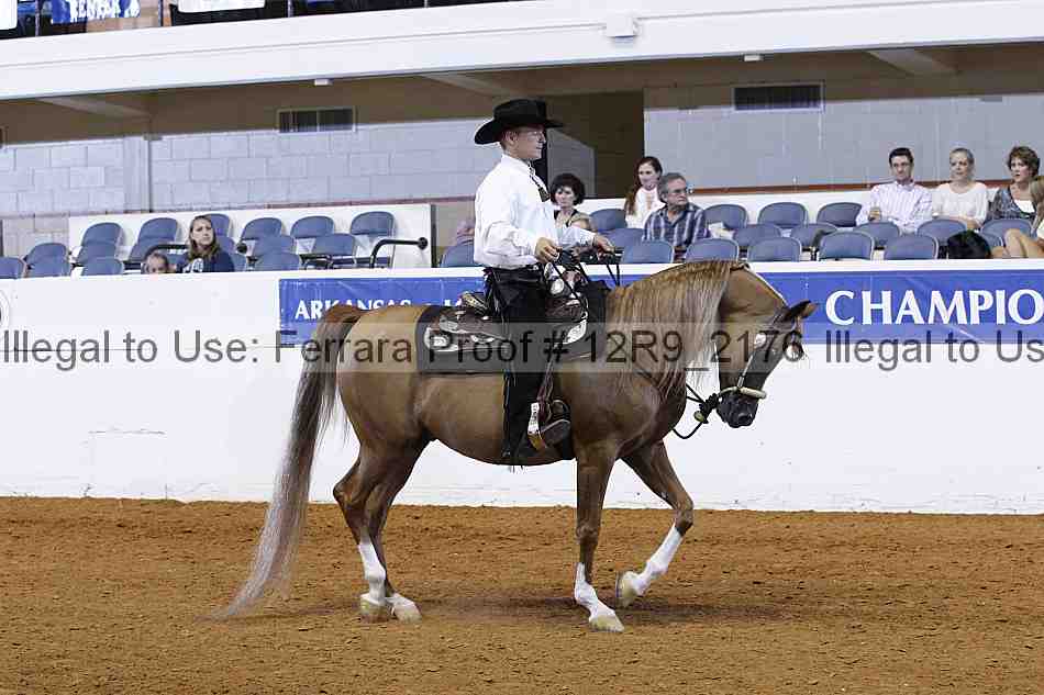 Proof 12r9_2176
