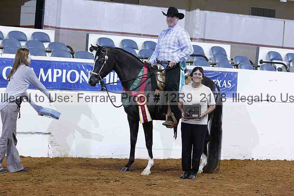 Proof 12r9_2178