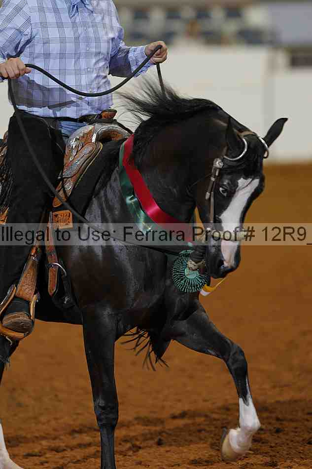 Proof 12r9_2179
