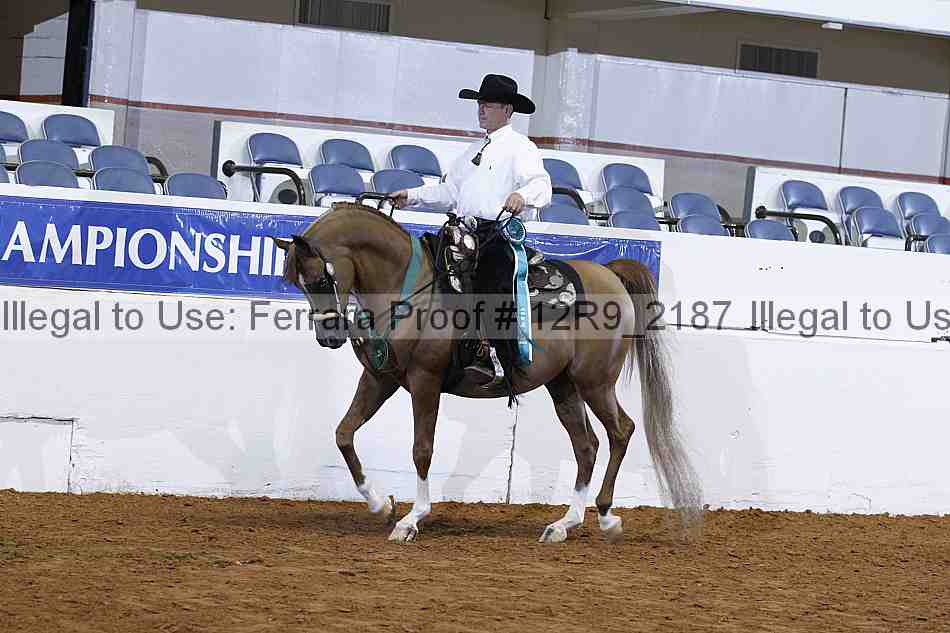 Proof 12r9_2187