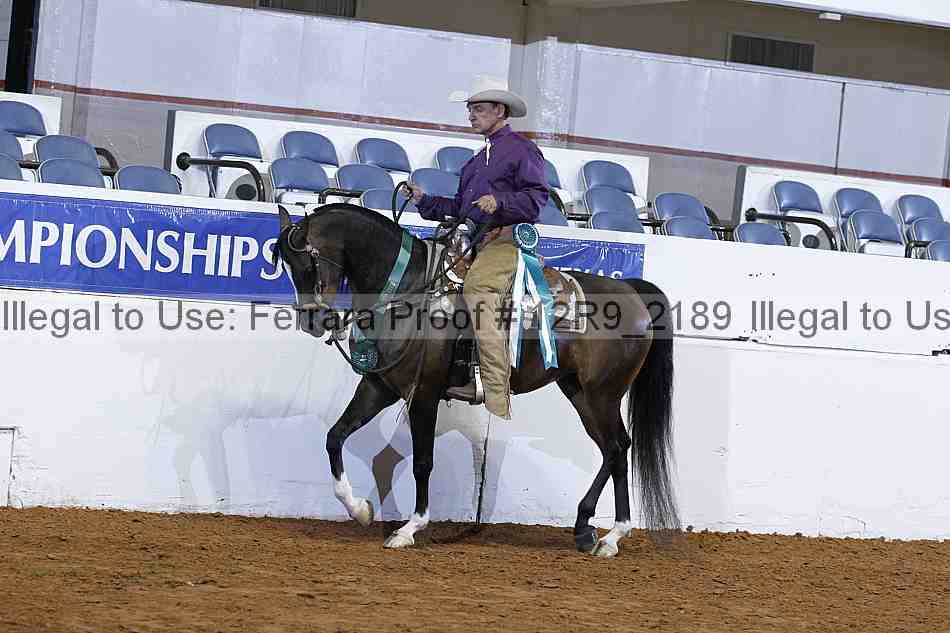 Proof 12r9_2189
