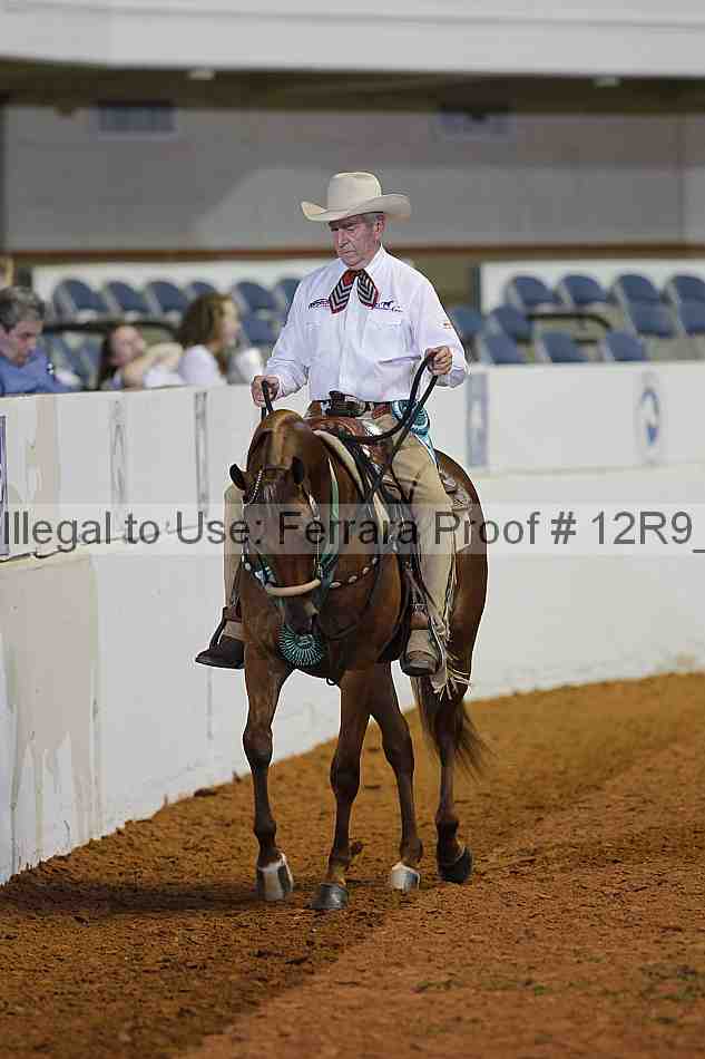 Proof 12r9_2191