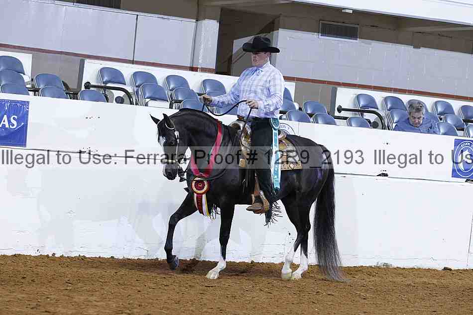 Proof 12r9_2193