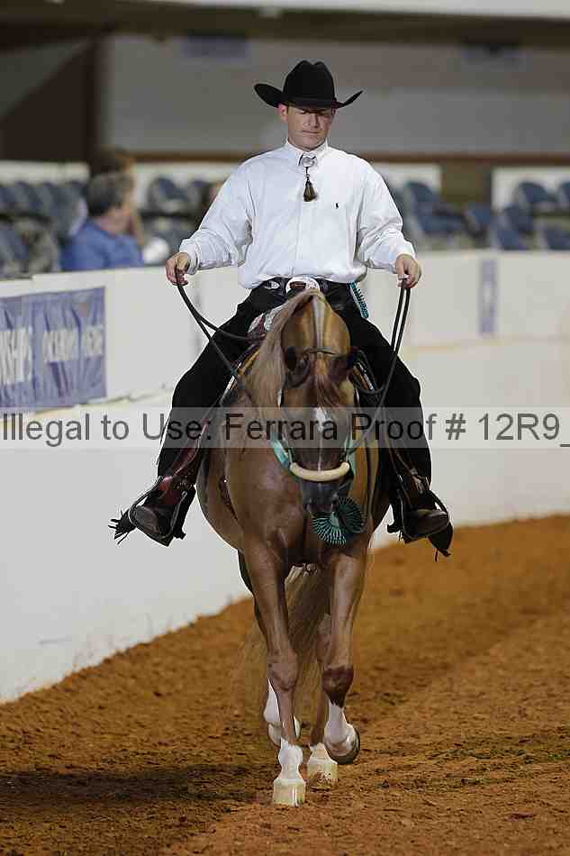 Proof 12r9_2194