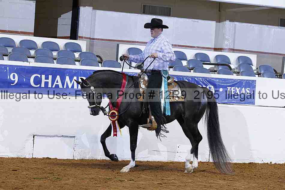 Proof 12r9_2195
