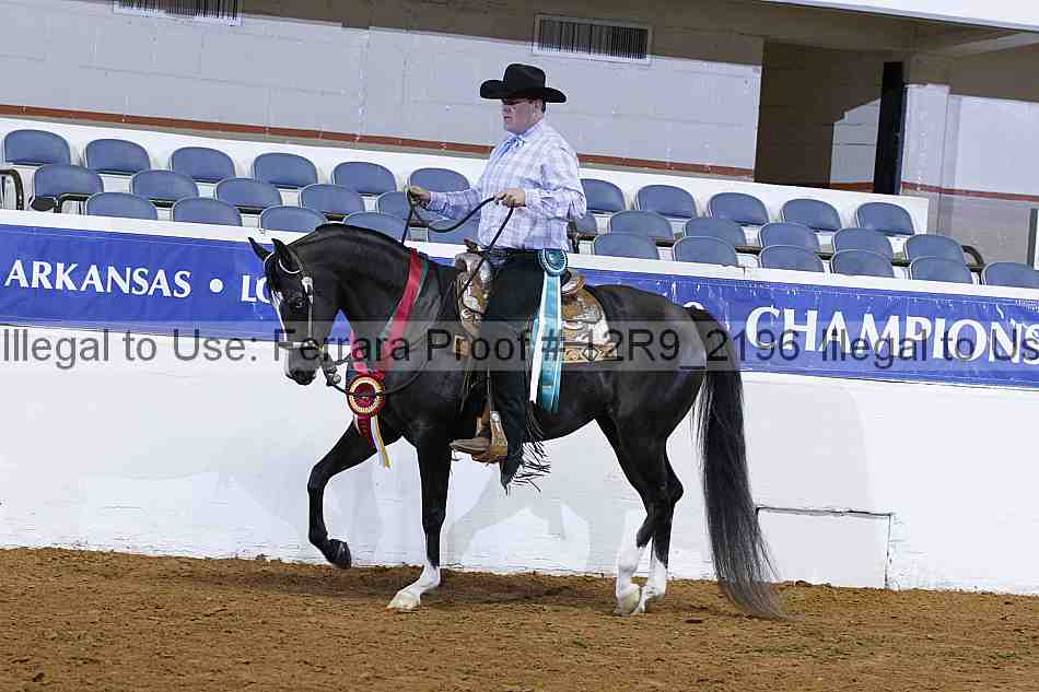 Proof 12r9_2196