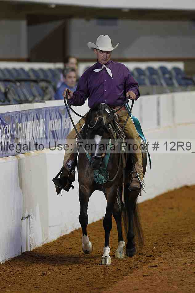 Proof 12r9_2199