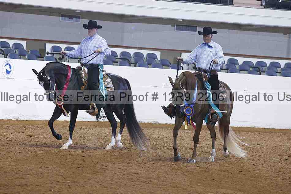 Proof 12r9_2206