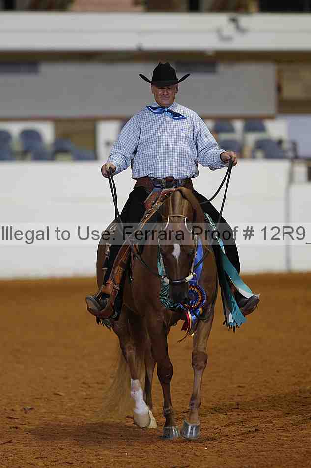 Proof 12r9_2216