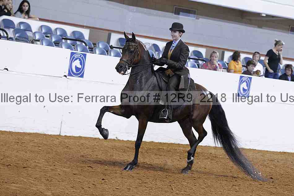 Proof 12r9_2218