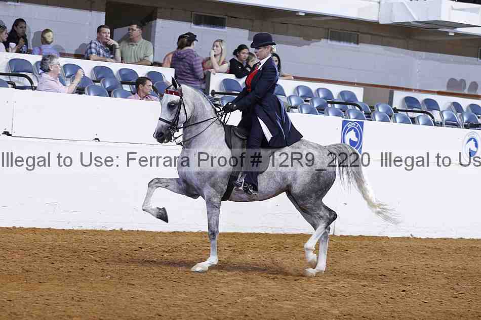 Proof 12r9_2220