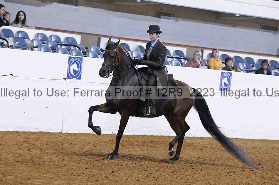 Proof 12r9_2223