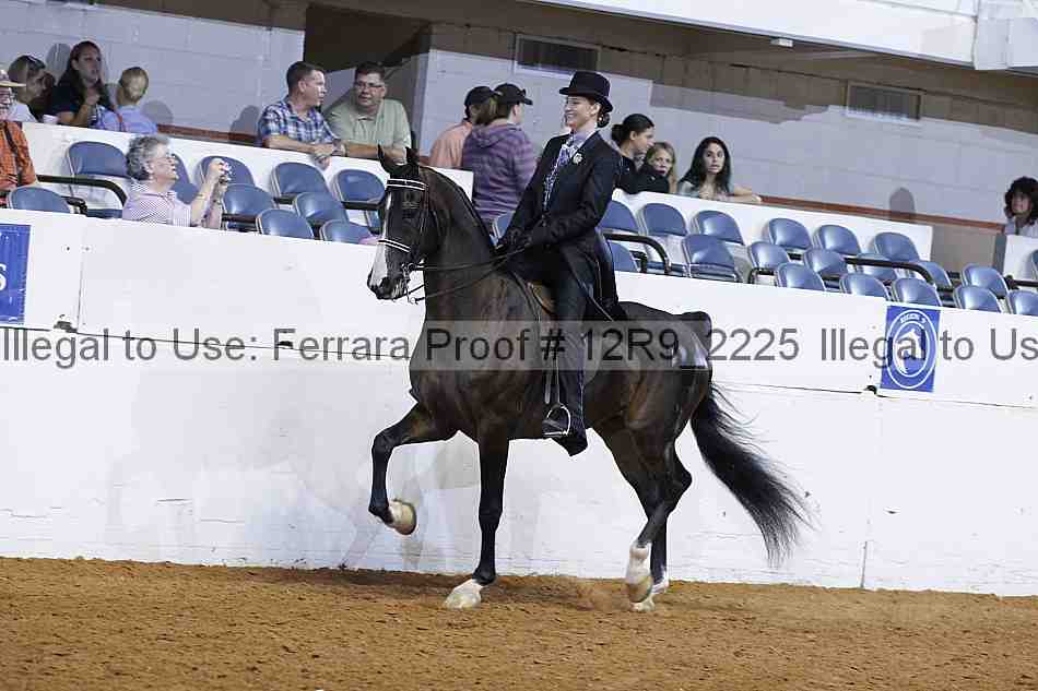 Proof 12r9_2225
