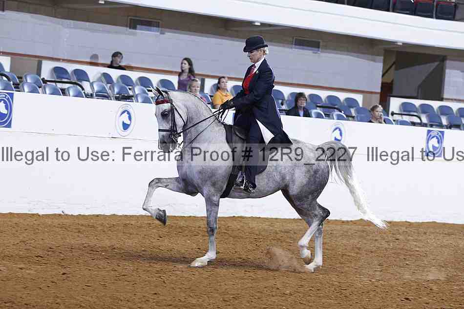 Proof 12r9_2227