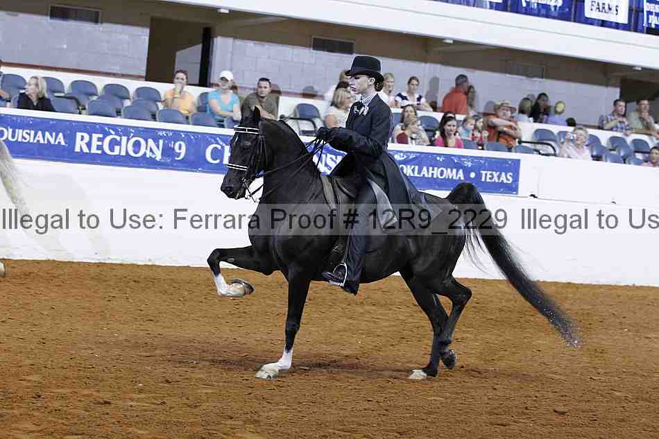 Proof 12r9_2229