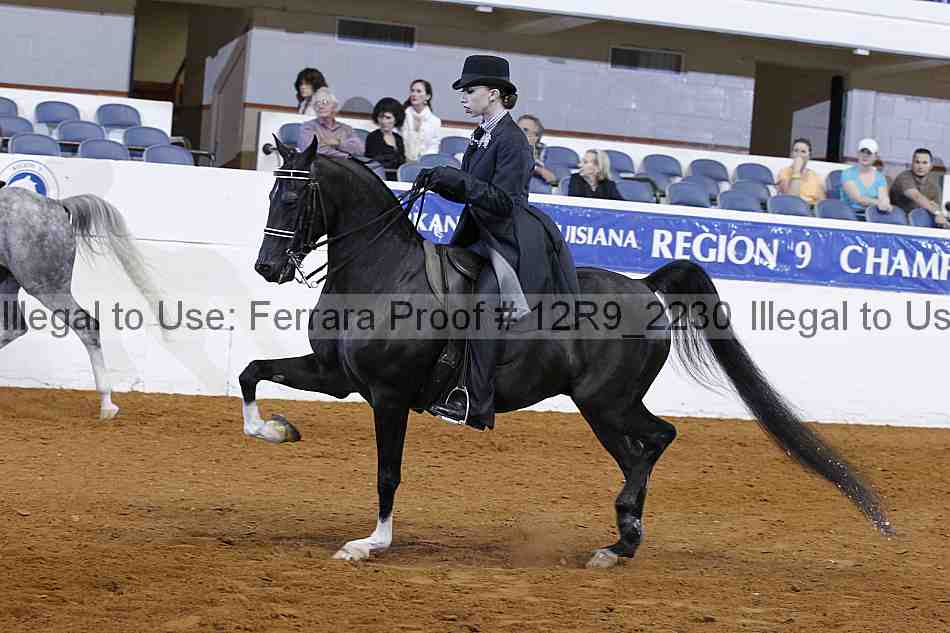 Proof 12r9_2230