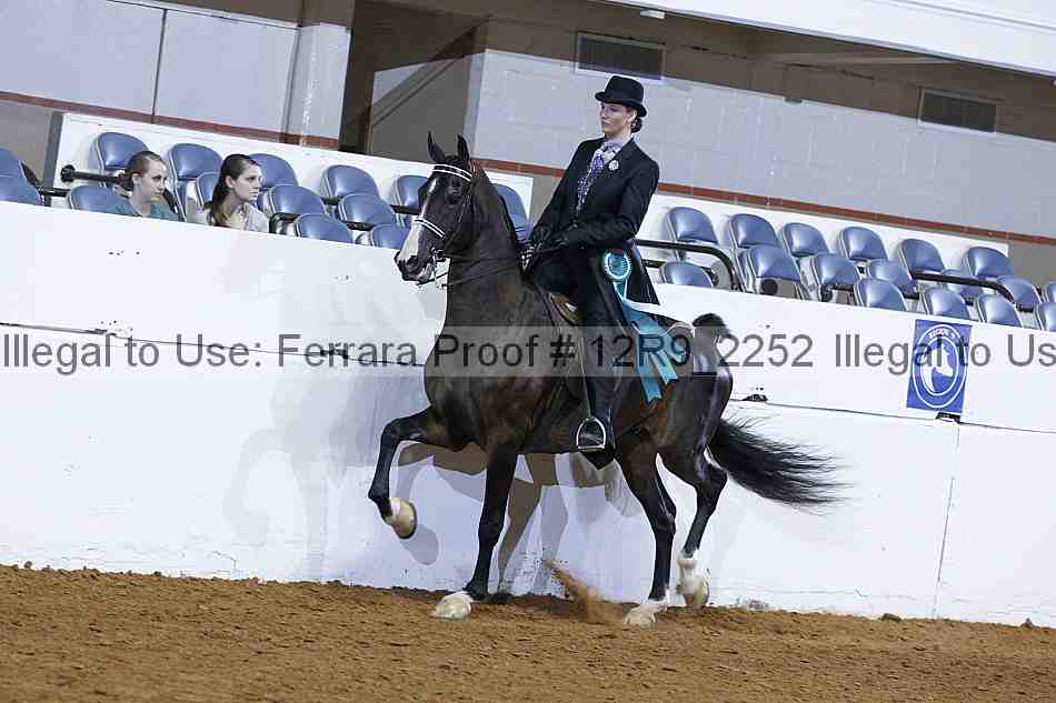 Proof 12r9_2252