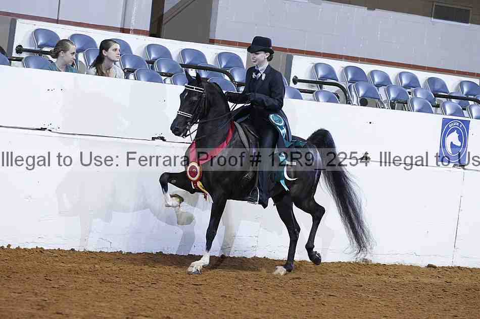 Proof 12r9_2254